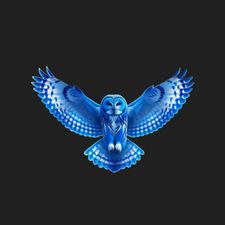 Profile image of Raivoo