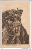 ROCHERS DE NAYE - chevriers au sommet