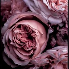 Profile image of Anni_89