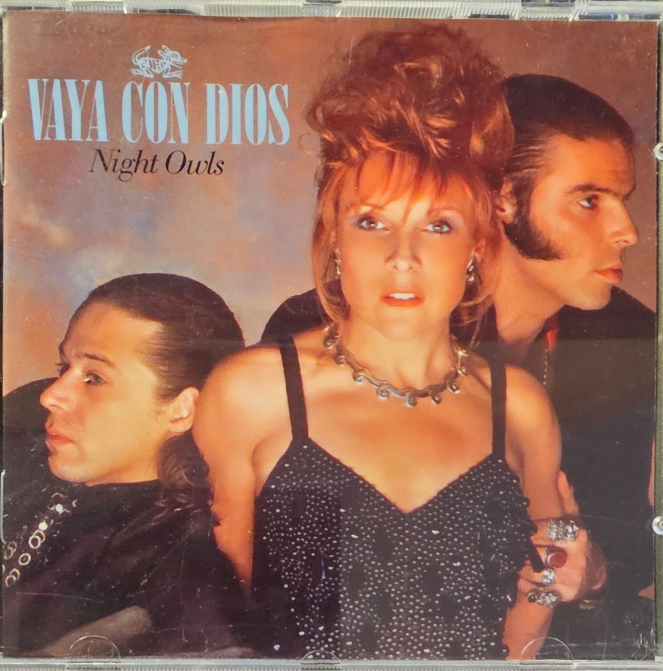 CD: Vaya Con Dios – Night Owls – Usato da Wahlen b. Laufen venduto da Cg10