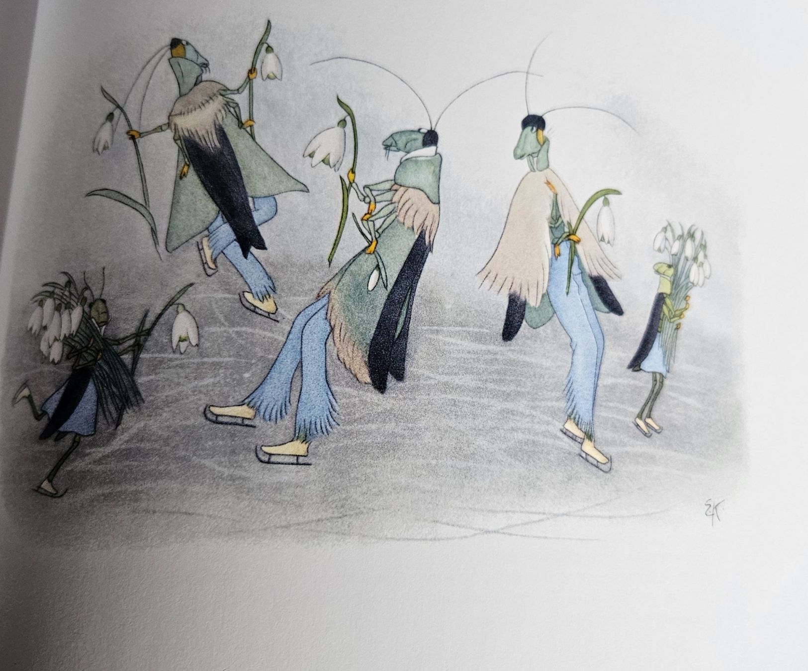 Libri: Kinderbuch Grashüpfer von Ernst Kreidolf – Nuovo (secondo la descrizione) da Uster venduto da Sonnenblume212 3