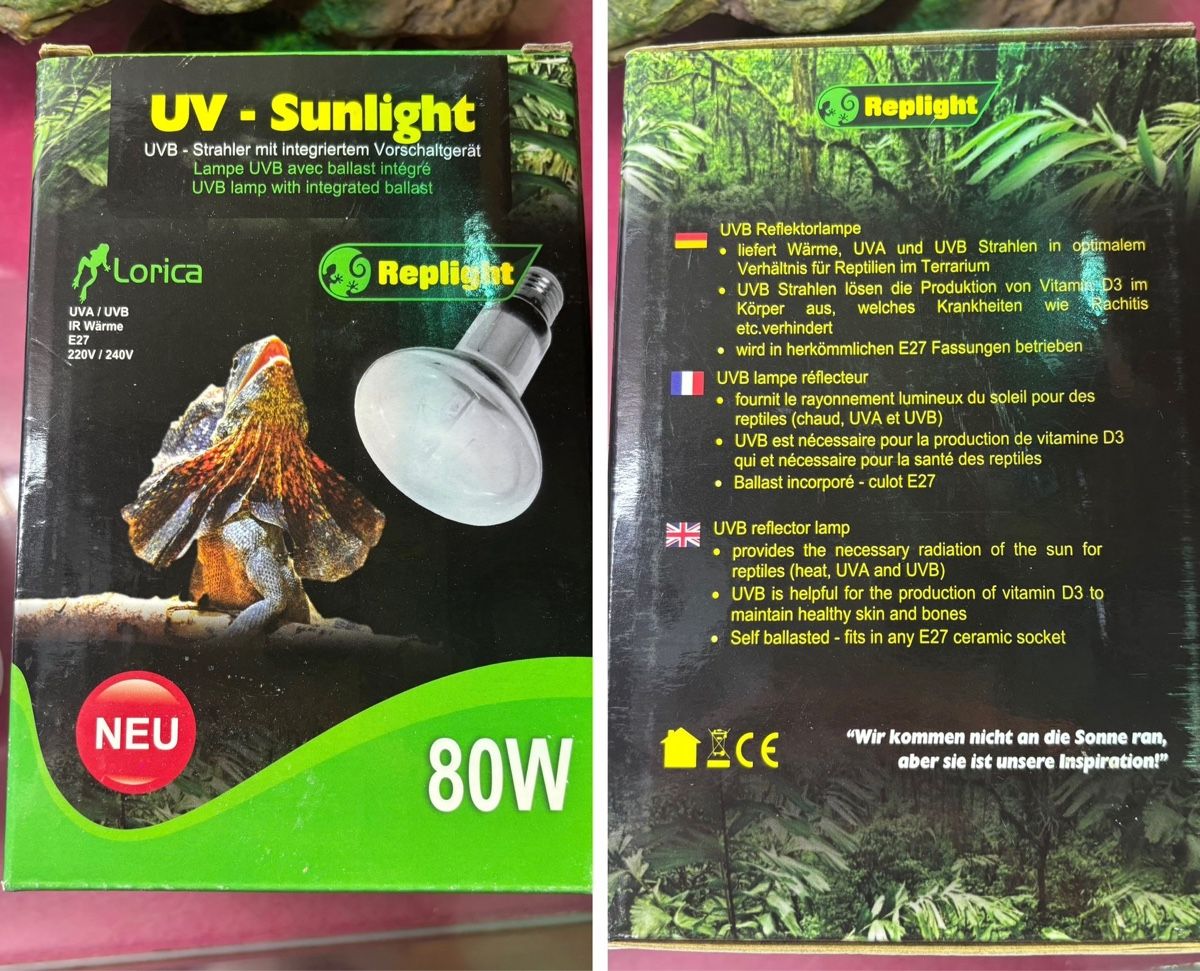 Terrario: Schildkröten-Terrarium Komplett-Set – Usato da Frenkendorf venduto da tryskac 7