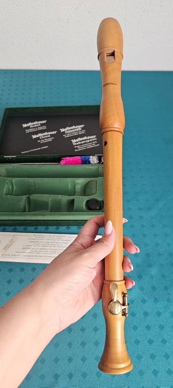 Strumenti musicali: ***Mollenhauer *** Blockflöte – Usato da Bronschhofen venduto da Xena37 3