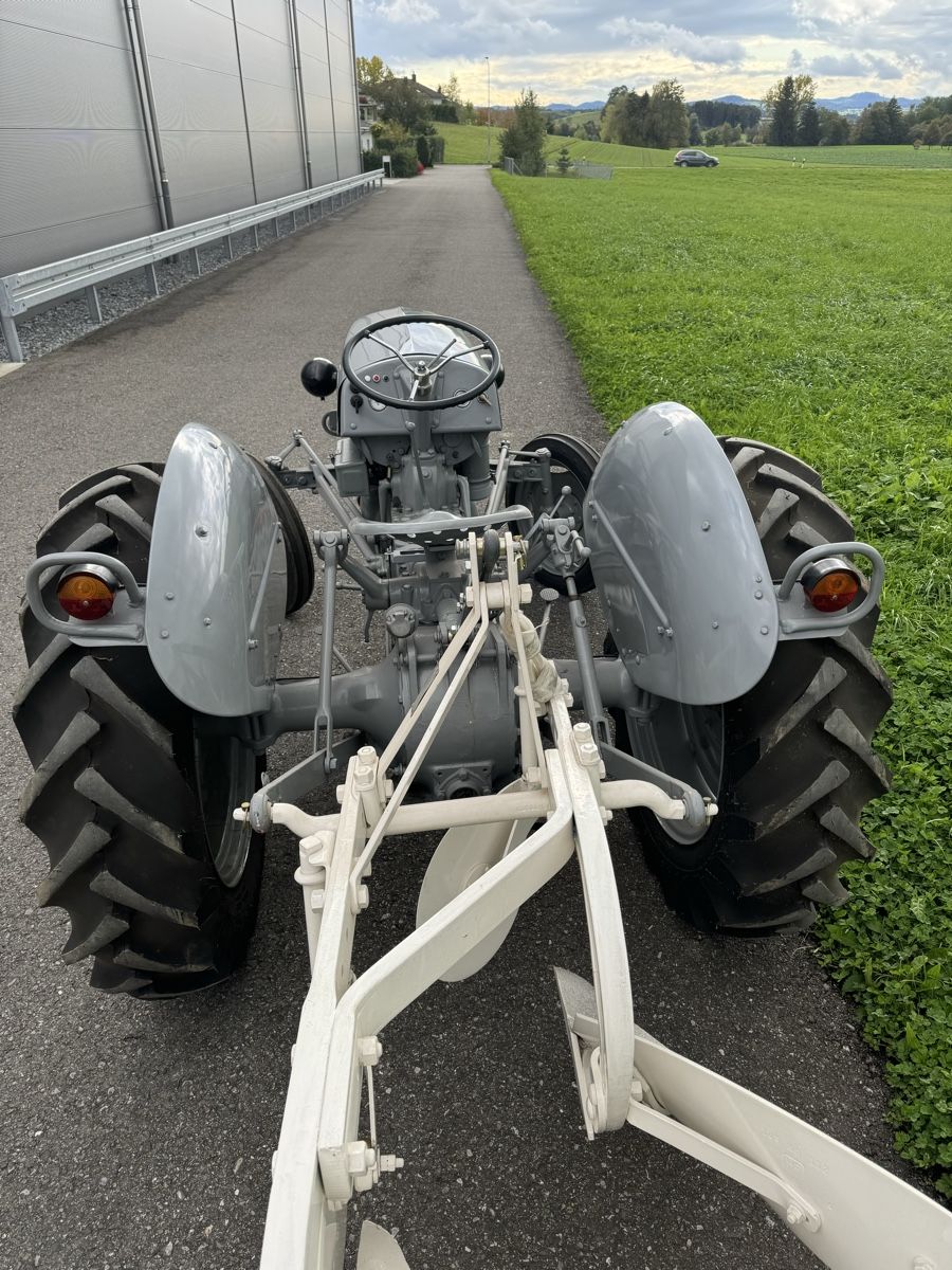 Massey Ferguson Trattori: Ferguson TED 20 B-Pflug – Usato da Zezikon venduto da fridalift 3