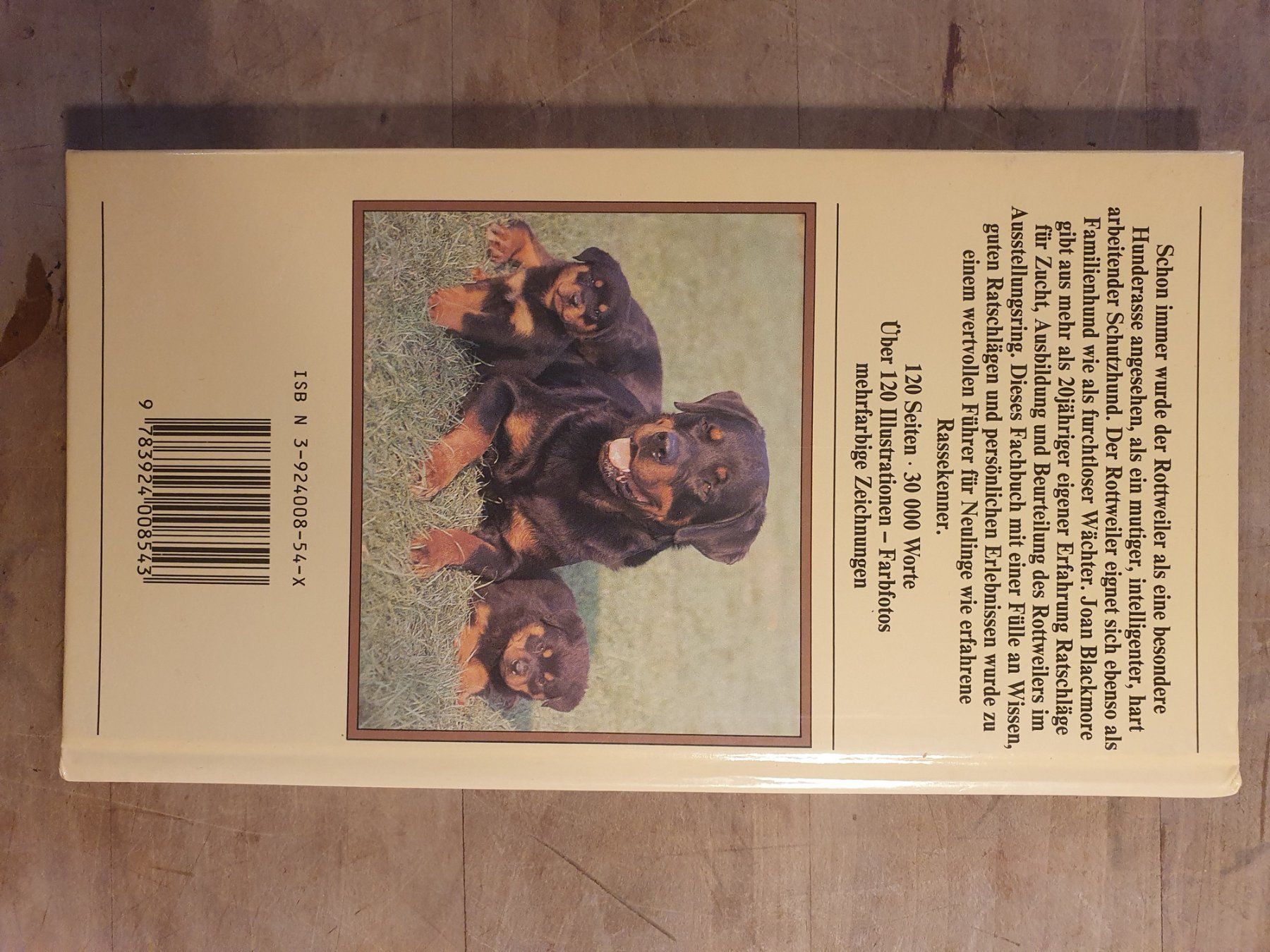 Libri: Der Rottweiler Joan Blackmore Kynos – Usato da Zürich venduto da loosebone 1