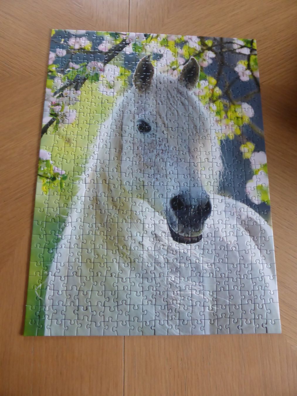 Ravensburger Puzzle: Puzzle 500 Teile/ Zarte Stute – Usato da Schübelbach venduto da Dolly990_2