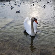 Profile image of sam_f7p6