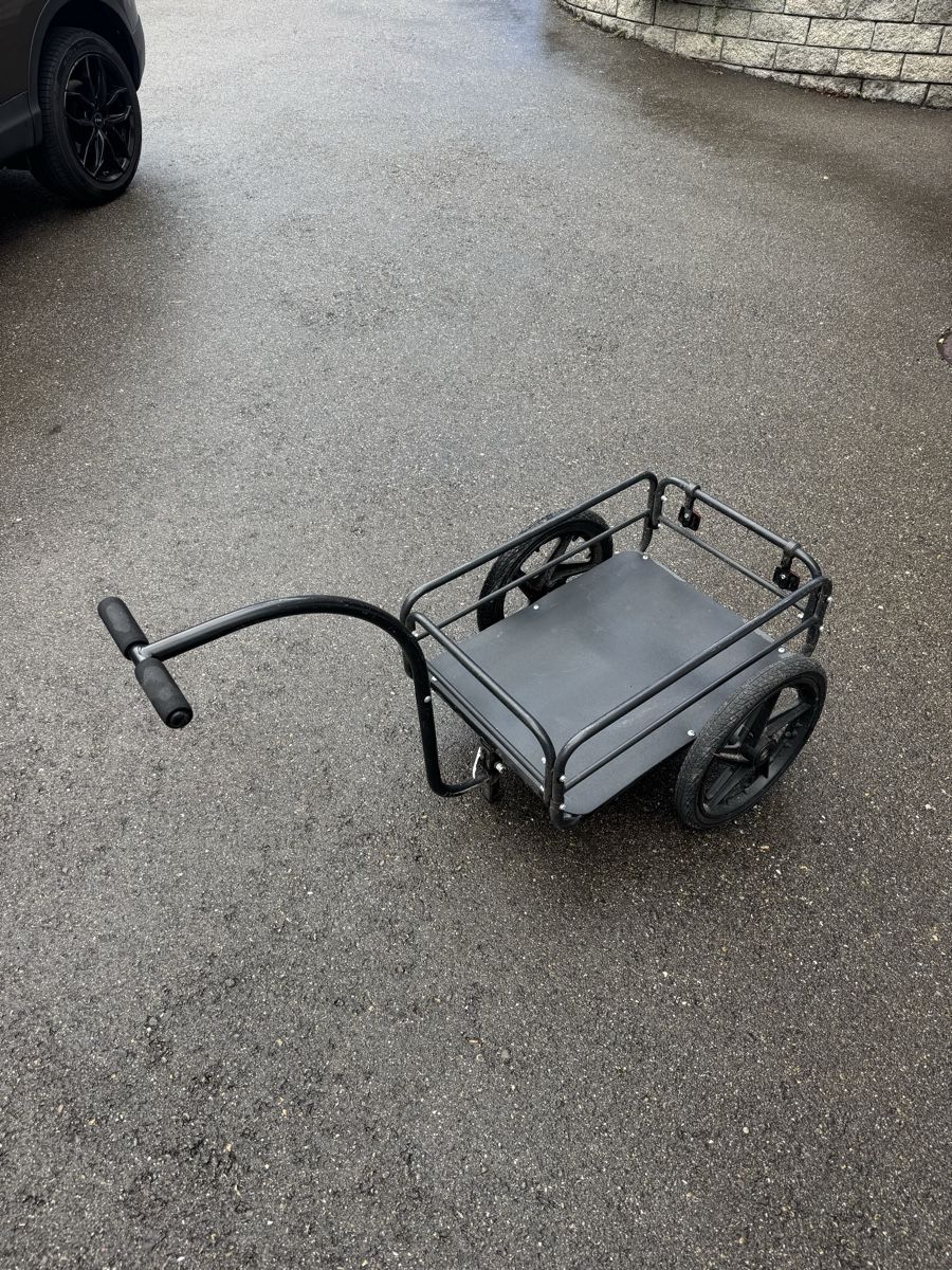 Rimorchi: Transportanhänger – Usato da Berg SG venduto da cil_p8z9 1