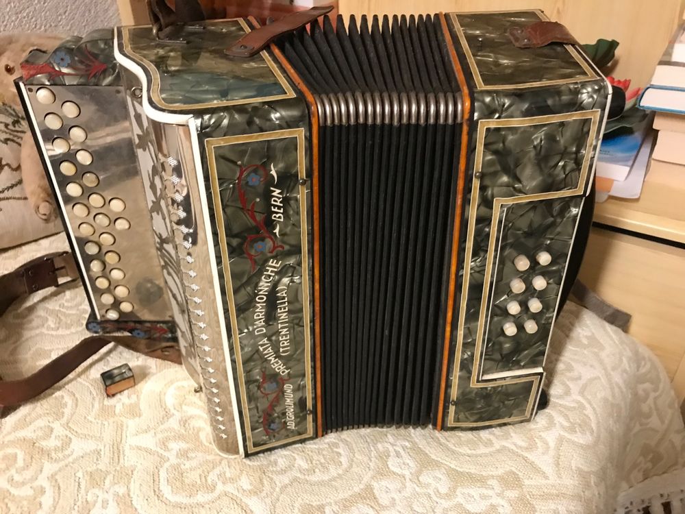 Harmonika Kaufen auf Ricardo