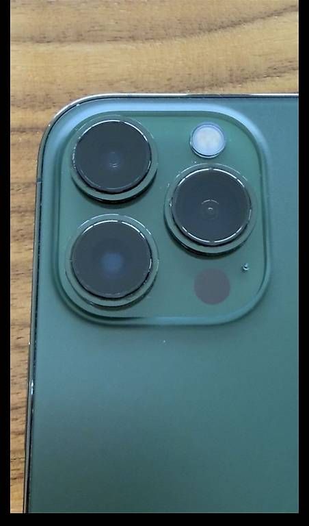 Telefoni cellulari / Smartphones: iPhone 13 Pro Max - Alpingrün- 1 TB Speicher – Usato da Fällanden venduto da fai_n5tr