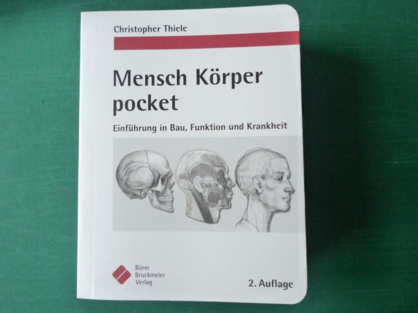 Bücher: Mensch Körper (Pocket) – Neu (gemäss Beschreibung) aus Rafz von Sonnenblume305