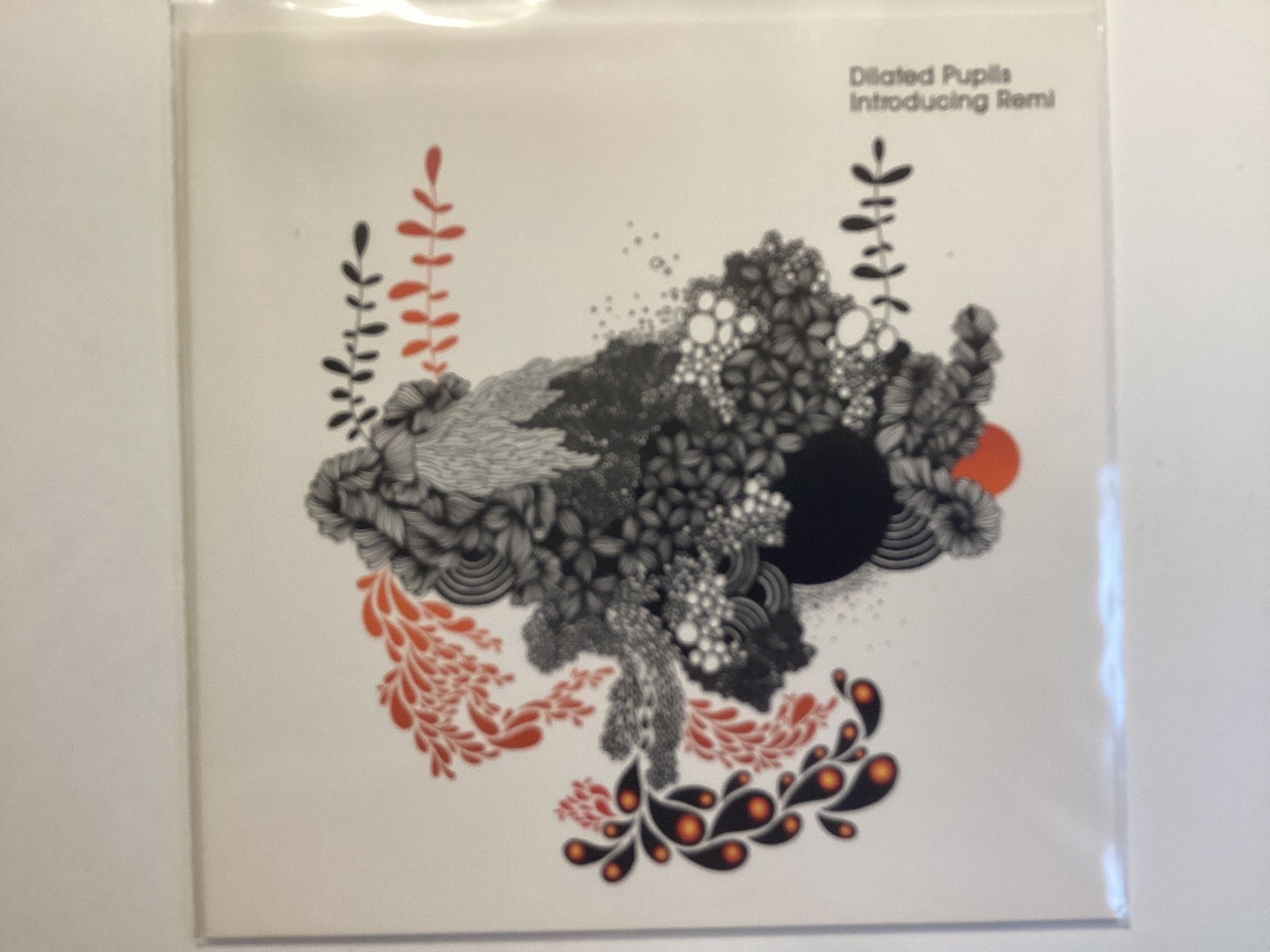 Dischi in vinile: Dilated Pupils EP/Maxi - Introducing Remi – Usato da Gutenswil venduto da Hamzian