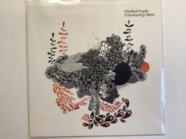 Dilated Pupils EP/Maxi - Introducing Remi
