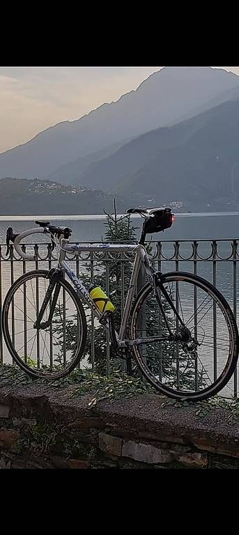 Biciclette: Colnago Dream RH 59cm – Usato da Cazis venduto da Morrisb