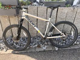Giant Rincon 26” MTB Alivio – Scheibenbremsen – Bastler