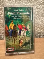 Fünf Freunde / und das Phantom von Sherwood Forest