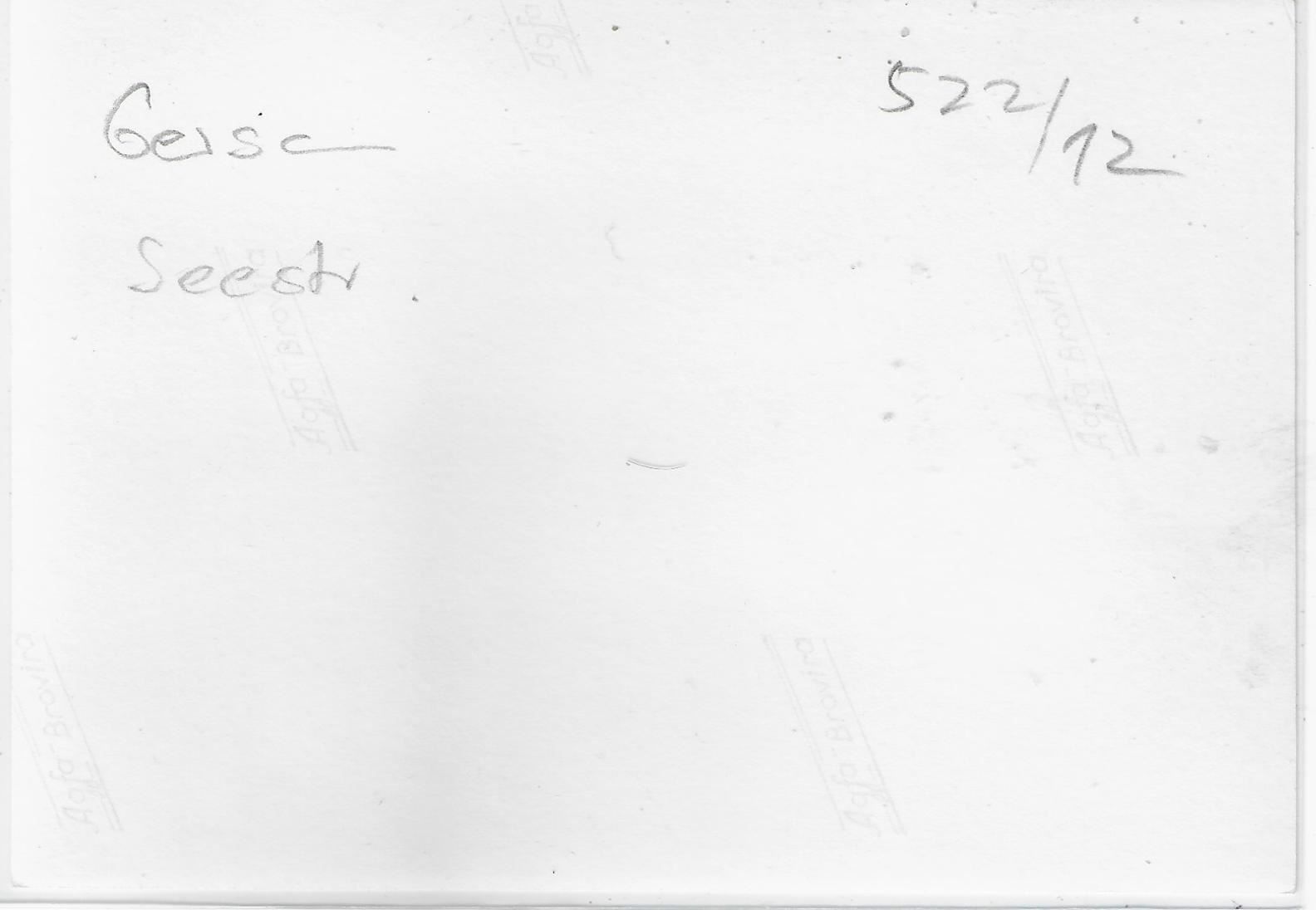 Cartoline postali: Flugaufnahme Gersau Seestrasse – Usato da Ettingen venduto da Kartenplanet 1