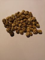 Kapuzinerkresse Kletternd