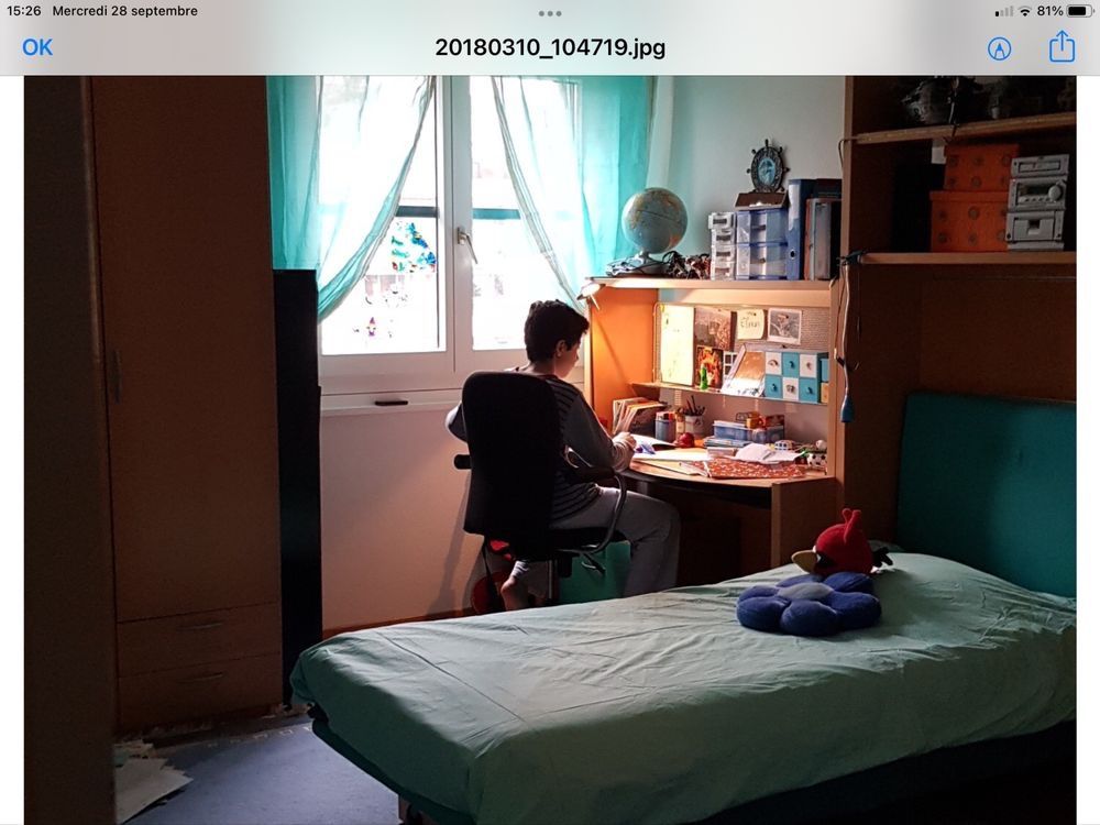 Letti: Lit avec bibliothèque intégrée - ligne italienne de qualité – Usato da Genève venduto da Mazelyne 6
