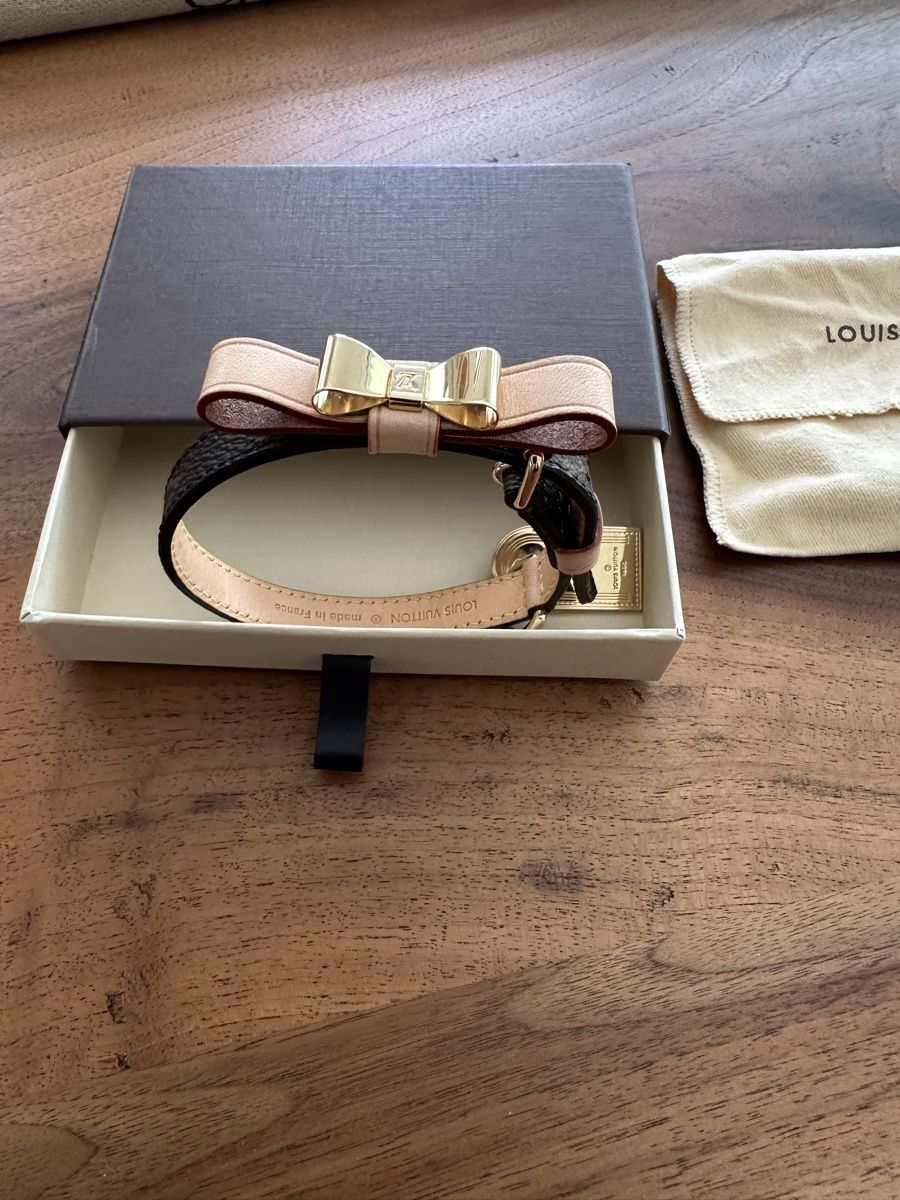Guinzagli & Collari: Hundehalsband – Nuovo e nell'imballaggio originale da S. Antonino venduto da Swissbutler 1