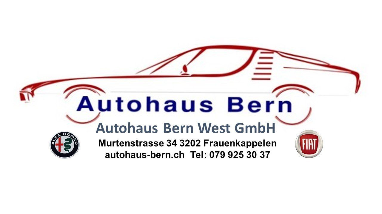 Fiat Automobili: Fiat Punto 1.4 Turbo – Usato da Frauenkappelen venduto da Autohaus-Bern 6