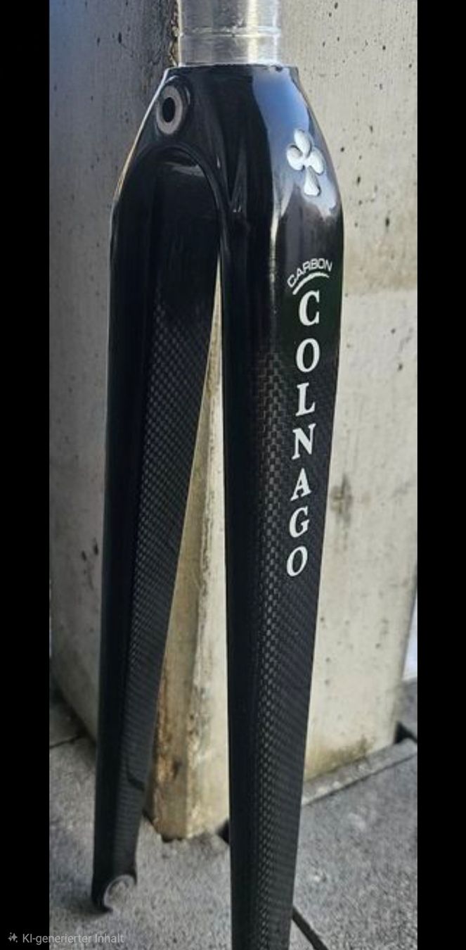 Gabeln: colnago Carbon Gabel – Neu (gemäss Beschreibung) aus Utzenstorf von Neukomm23