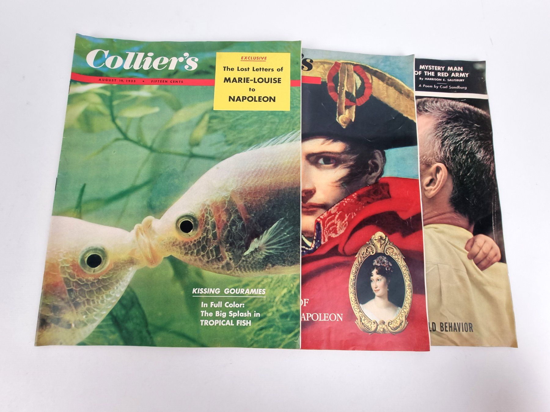 Riviste & Magazine: Collier's Hefte, diverse Ausgaben von 1955 – Usato da Urtenen-Schönbühl venduto da Restwert_Schoenbuehl 1