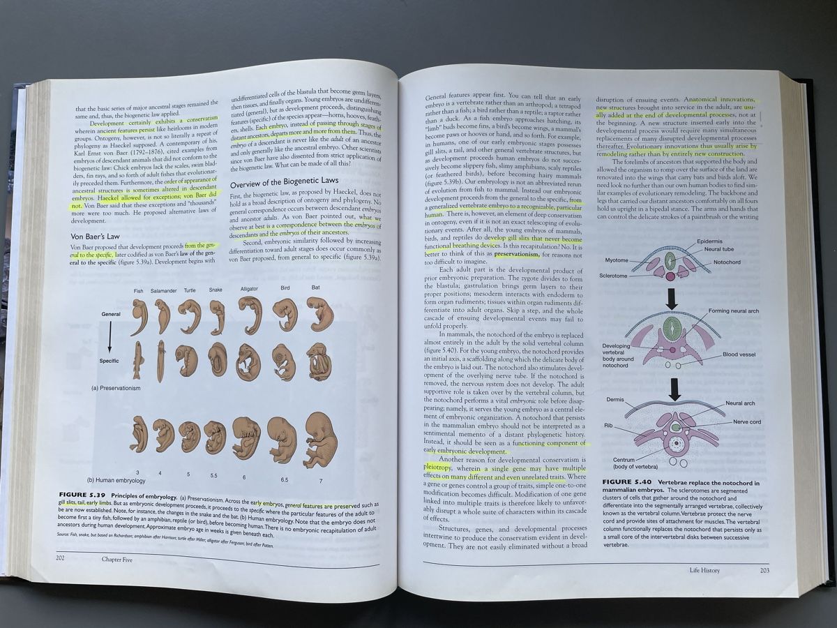 Libri: Vertebrates, Comparative Anatomy, Function, Evo von Kardong – Usato da Zürich venduto da ehupp 4