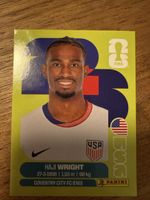Panini Fifa USA 19
