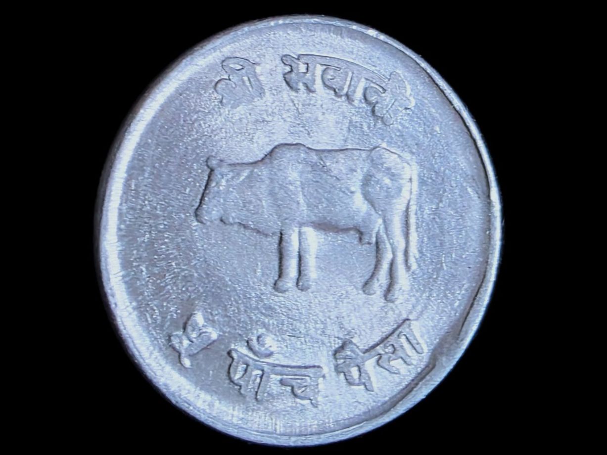 Tutti le monete: NEPAL 5 PAISA 2030/1973 – Usato da winterthur venduto da CoinPassion