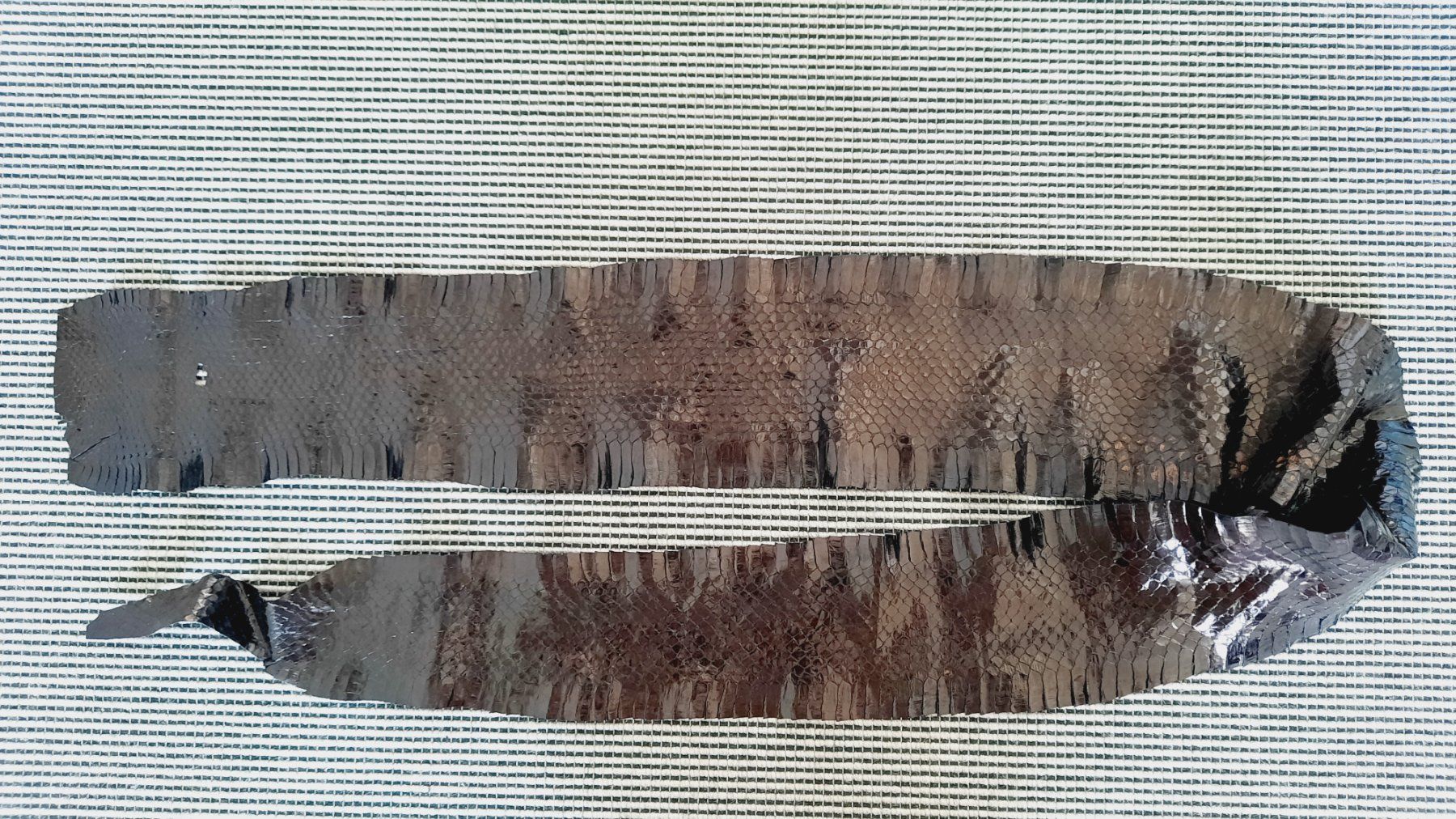 Stoffe: echtes Schlangenleder; – Neu (gemäss Beschreibung) aus Herrliberg von AlexandraBopp 1