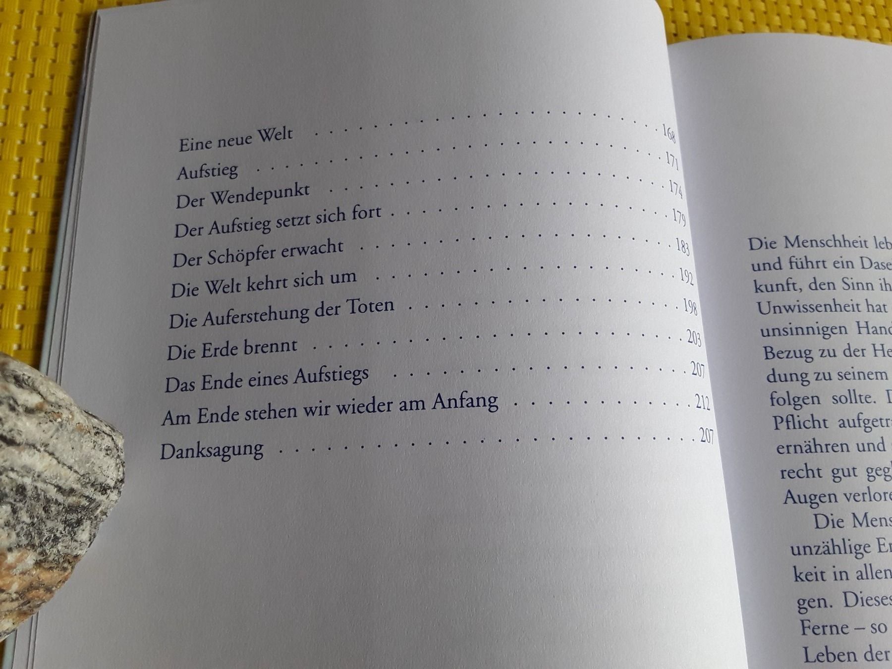 Libri: Die Erde, ein neuer Stern – Nuovo (secondo la descrizione) da Rebstein venduto da Buchsi03 4