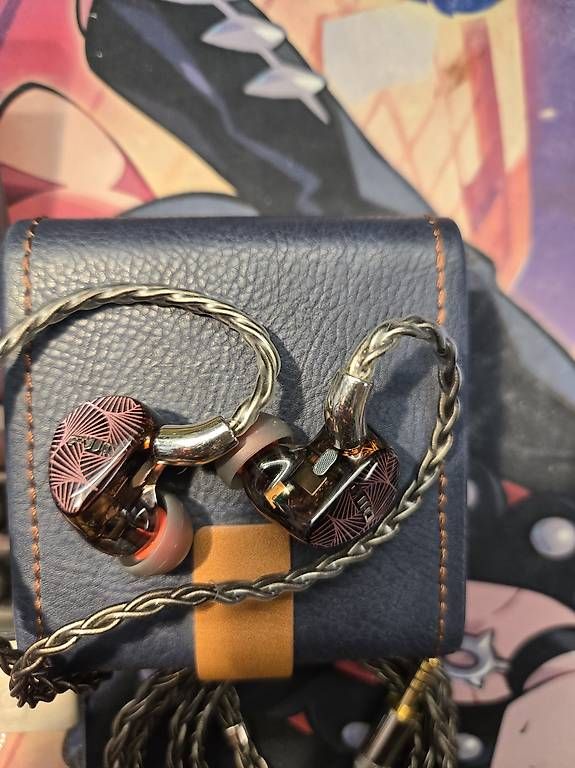 Cuffie: Casque intra-auriculaire Fiio FX15 – Usato da Satigny venduto da Gatoil 3