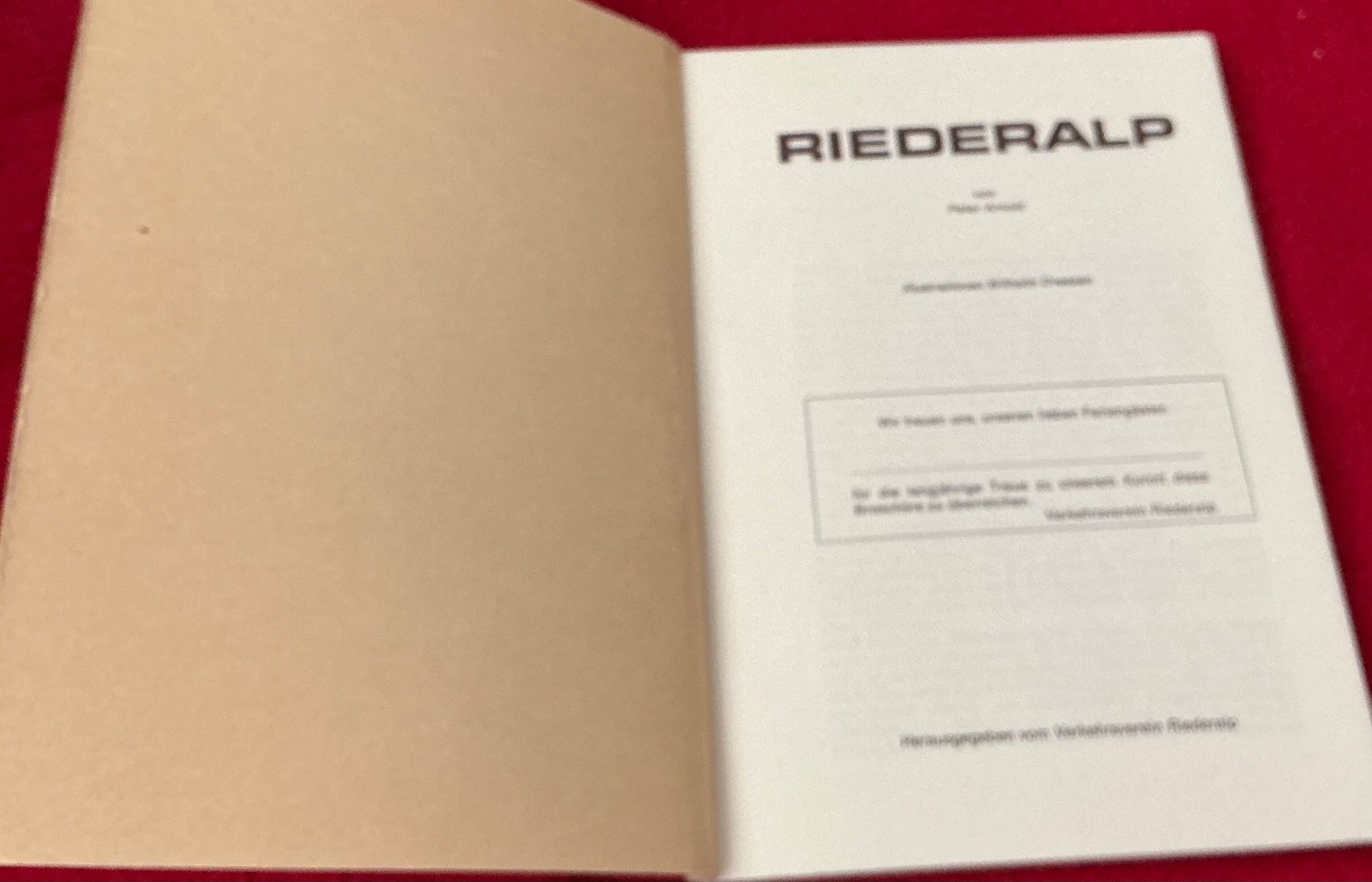 Libri: Peter Arnold RIEDERALP - Historisches Buch – Usato da Naters venduto da seidengut 1