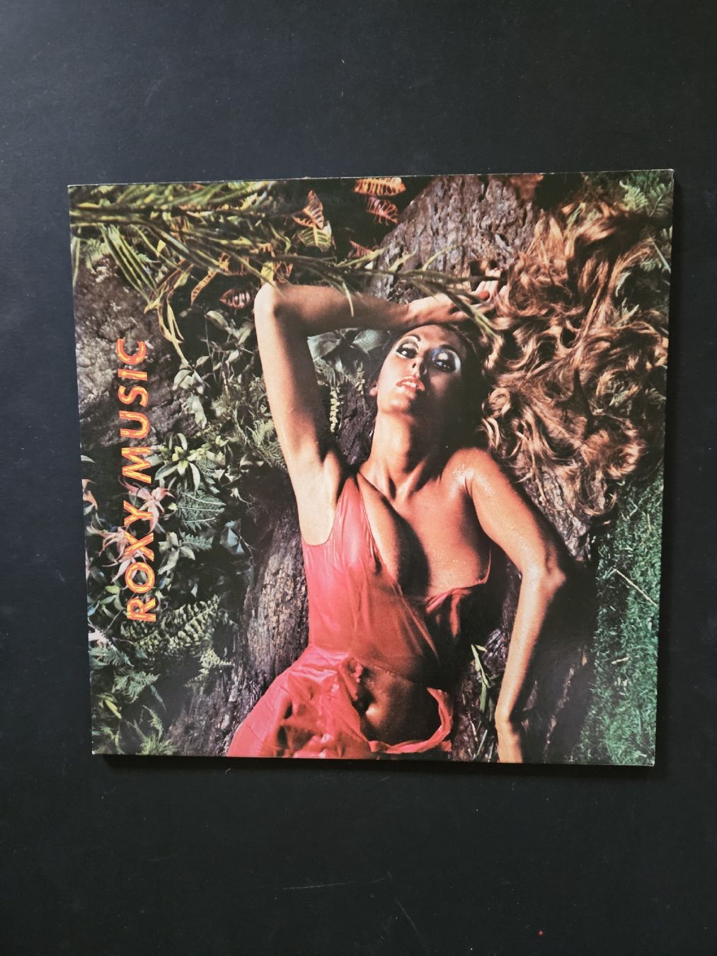 Dischi in vinile: LP Vinyle Roxy Music 1974 – Usato da Les Brenets venduto da SBO56
