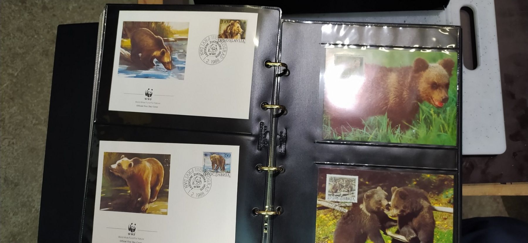 WWF Album: WWF  Album – Usato da Thun venduto da Rado-17 5