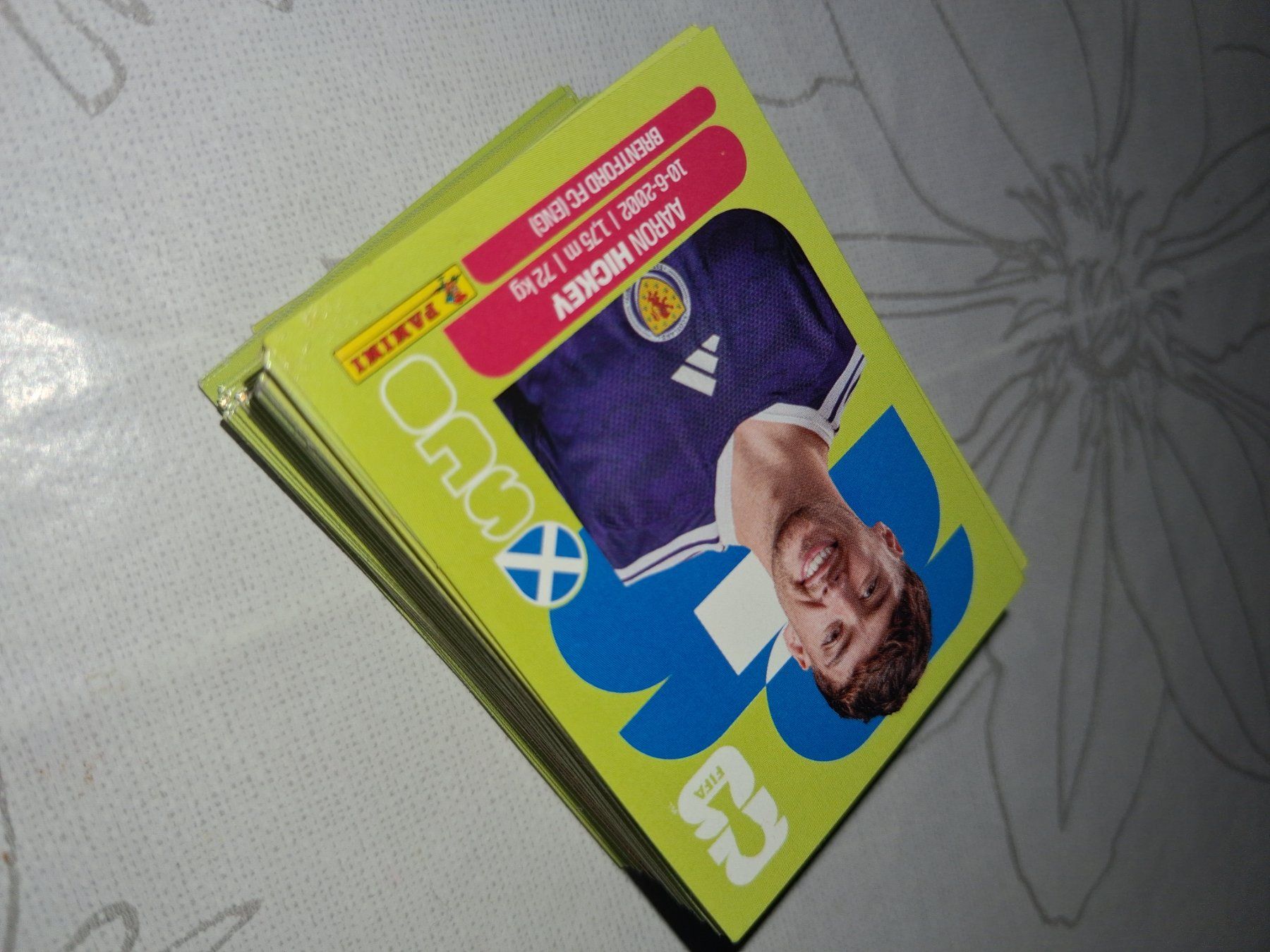 Panini Carte collezionabili: Panini WM Sticker 2026 100 Stk zufällig – Usato da Reinach BL venduto da IvarB01