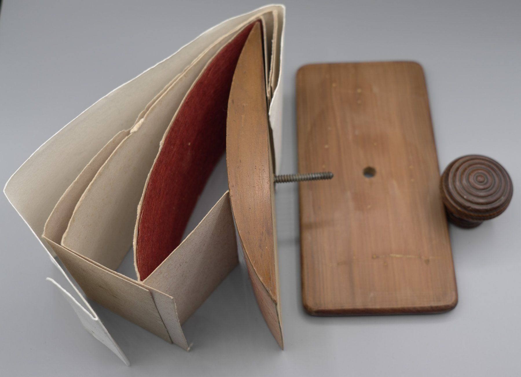 Timbri: Tampon-buvard en bois, de 1896 – Usato da Nyon venduto da WHTF 3