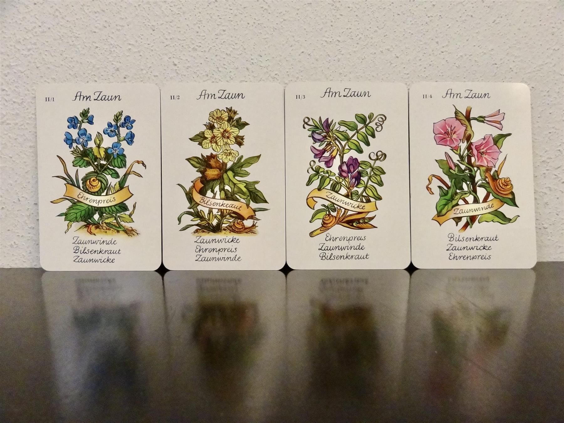 Giochi: altes Quartett BLUMEN-QUARTETT BLUMEN – Usato da Kerzers venduto da wisaundso 4