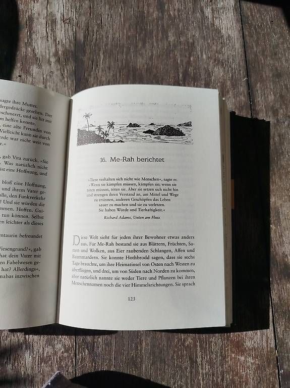 Libri: Drachenreiter - Die Feder eines Greifs – Usato da Langenthal venduto da gnoemli99 1