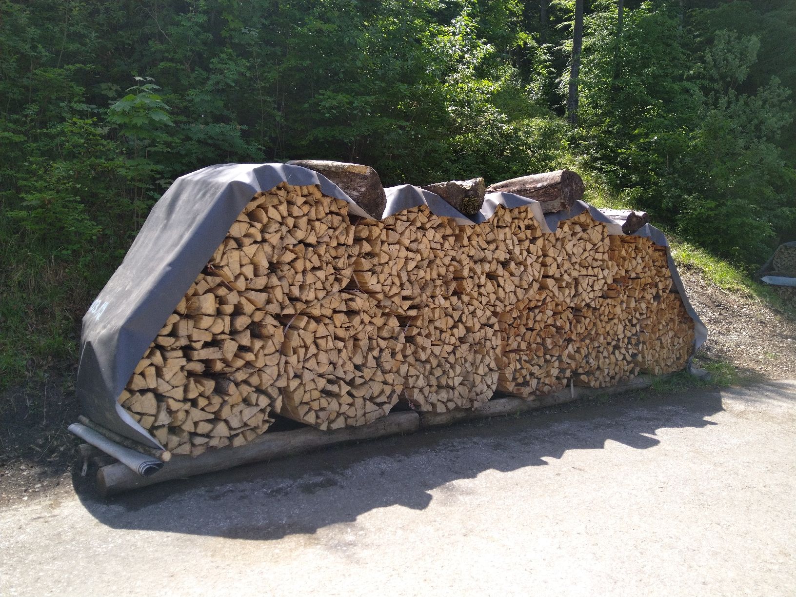 Holzartikel: Brennholz Buche ideal als Chemineeholz – Neu (gemäss Beschreibung) aus Sachseln von BrownSwiss6 1