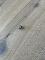 Pandora Charms