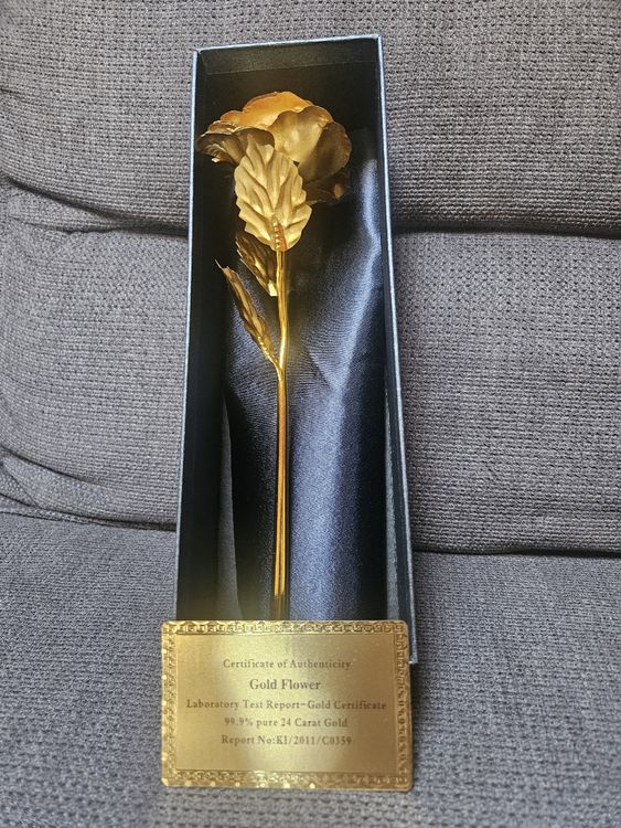 FaNaTtik The Polar Express Zugticket - 24 Karat Vergoldet Limitiert