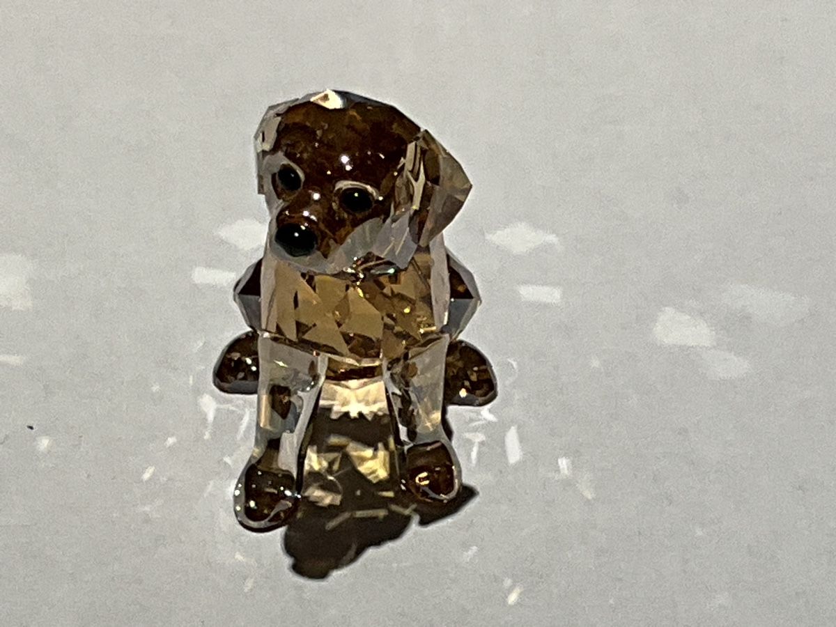 Swarovski Figuren: Swarovski Goldene Retriever  – Neu (gemäss Beschreibung) aus Oberglatt ZH von Multimix 1