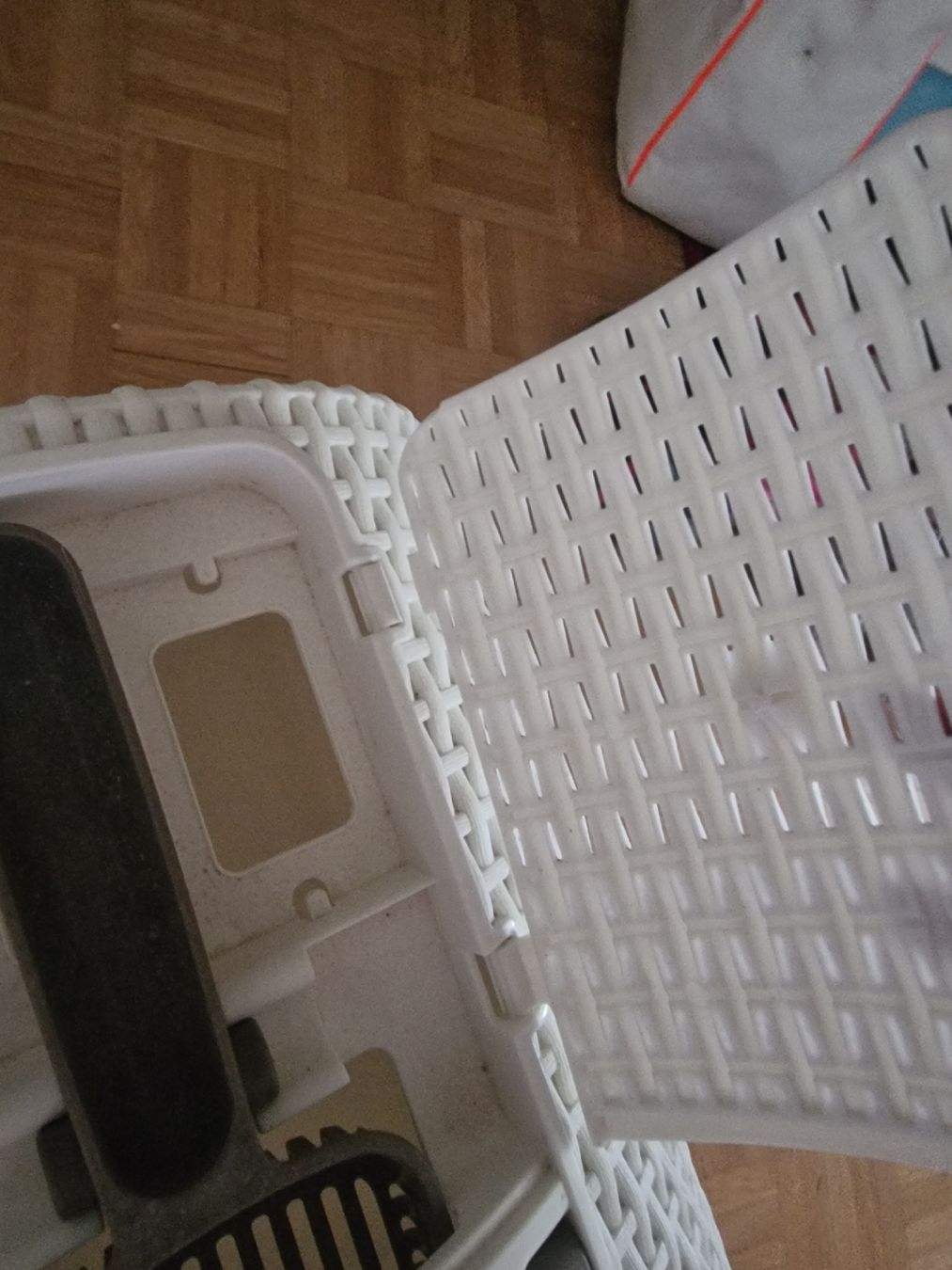 Cucce & Letti: Cat Litter Box / Katzenklo – Usato da Zürich venduto da vbrioschi 1