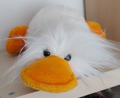 Ente