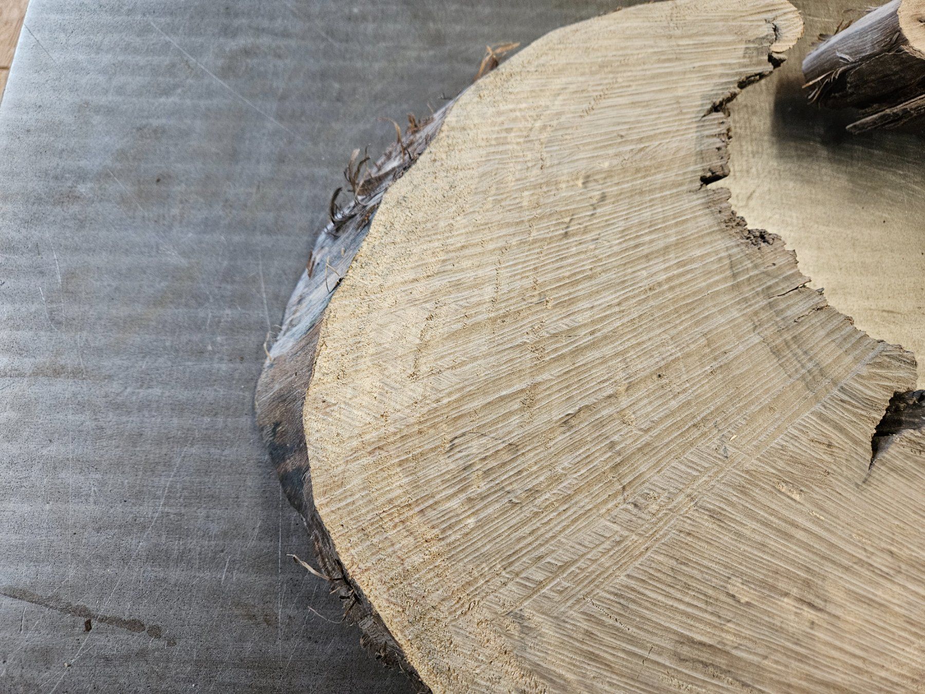 Articoli in legno: Nussbaum Holz Baumscheibe – Nuovo (secondo la descrizione) da Schangnau venduto da egli6.2 1