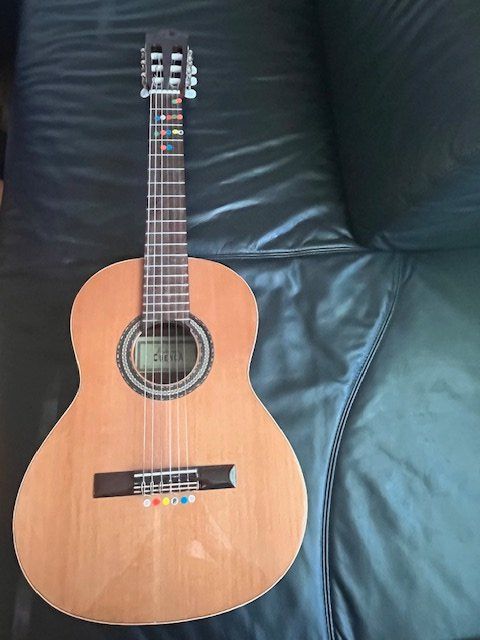 Musikinstrumente: Gitarre – Gebraucht aus reitnau von Vuelta 1