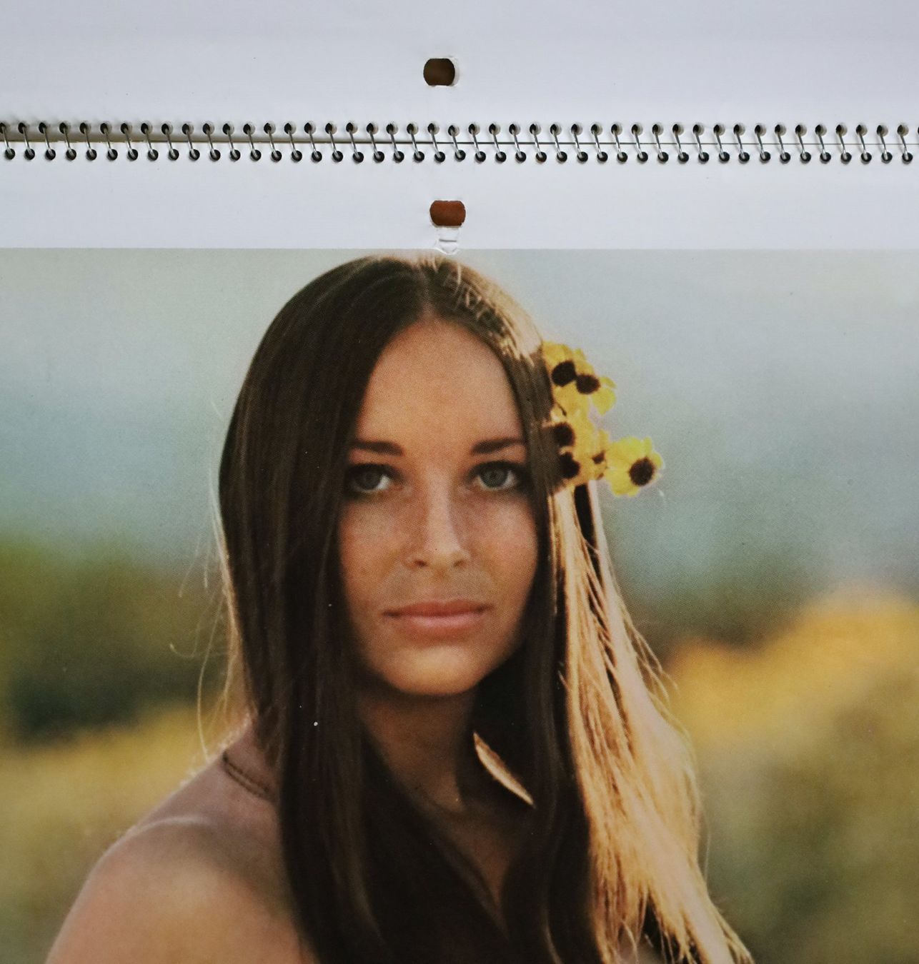 Playboy Calendari: PLAYBOY Kalender 1972 – Usato da Birrwil venduto da brandschatz_birrwil 6