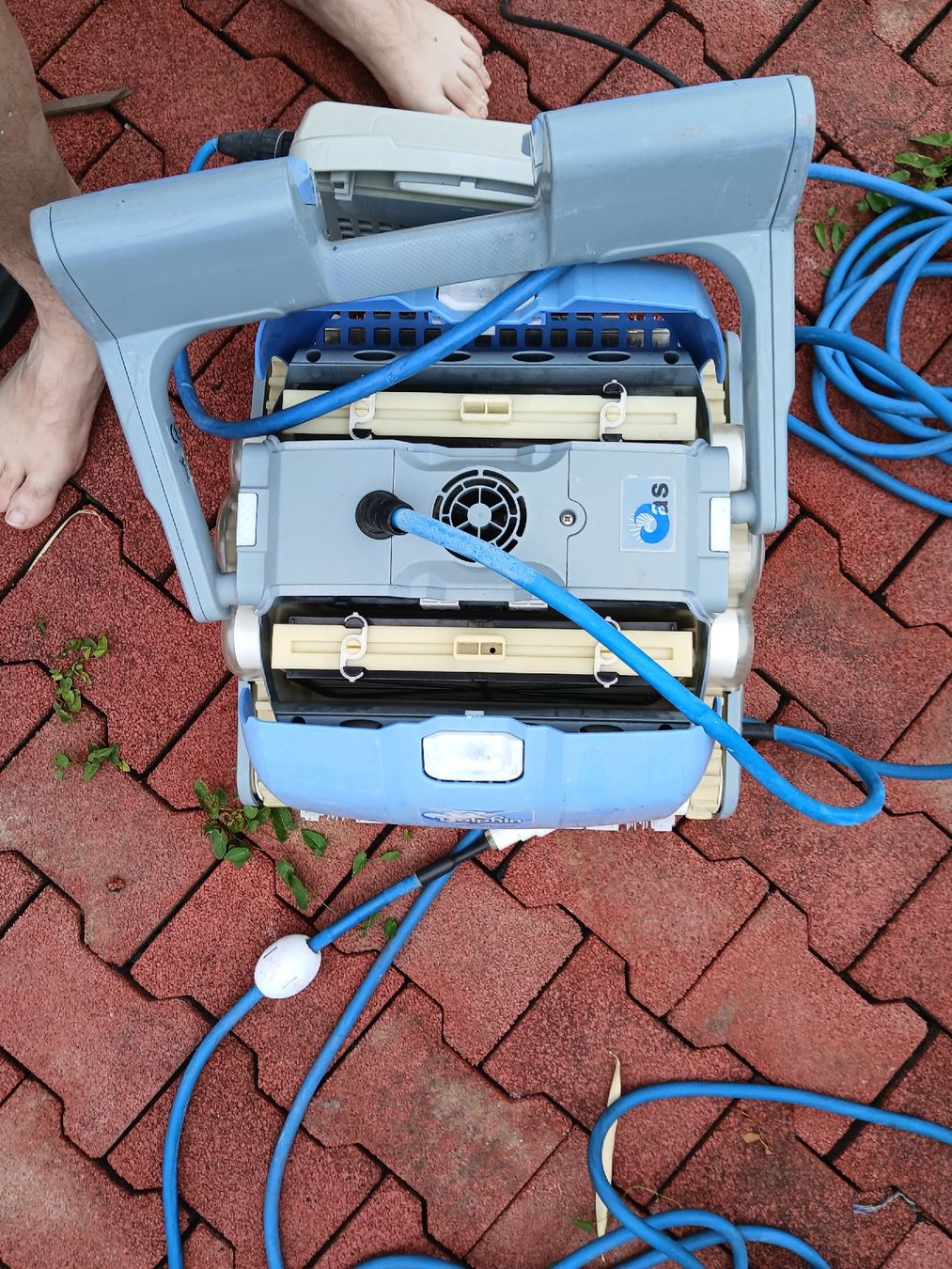 Dolphin Schwimmbad-Zubehör: Dolphin SUPREME M4 Poolreiniger mit Kabel – Defekt aus Kienberg von Spidi08 2
